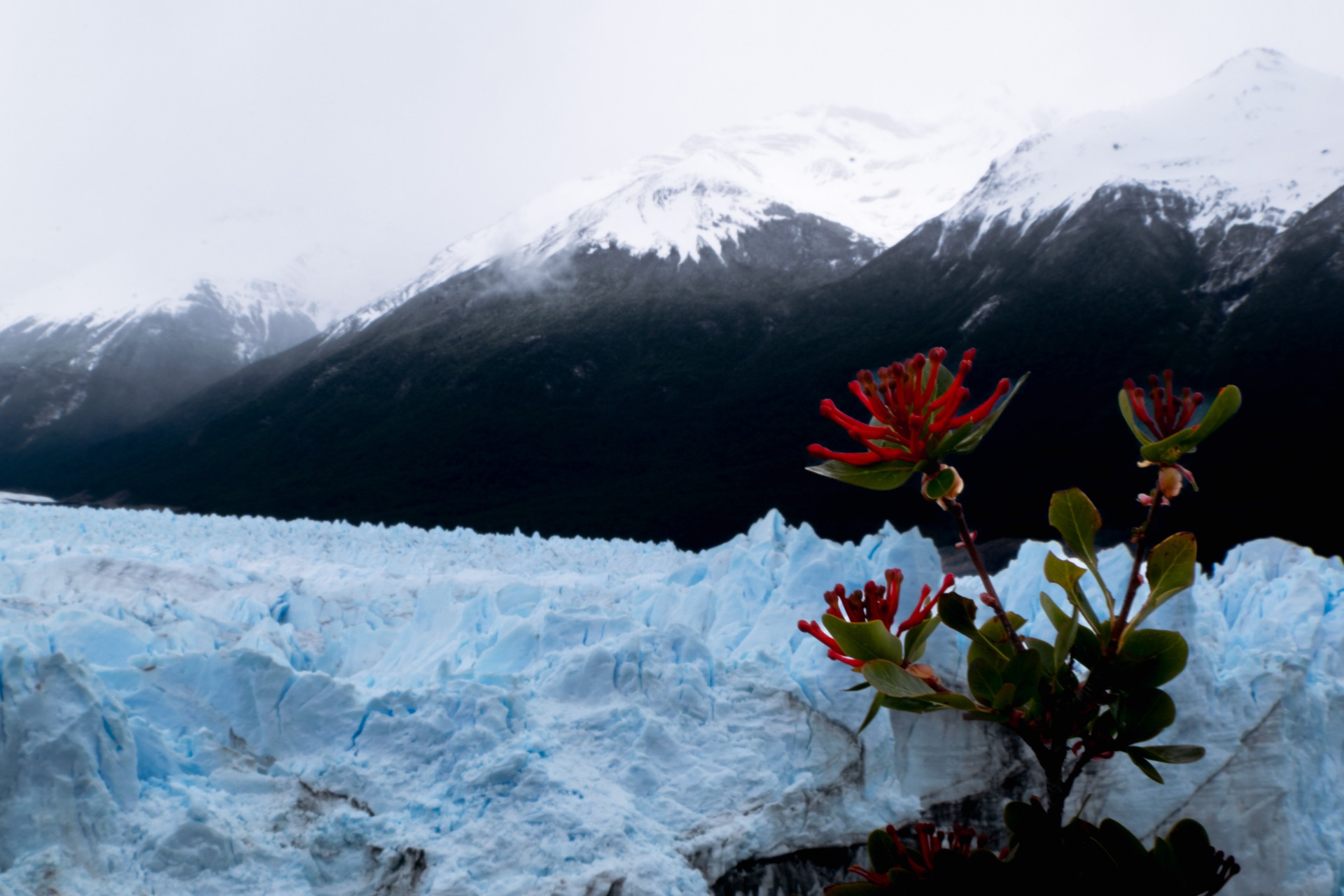 Glaciar Perito Moreno